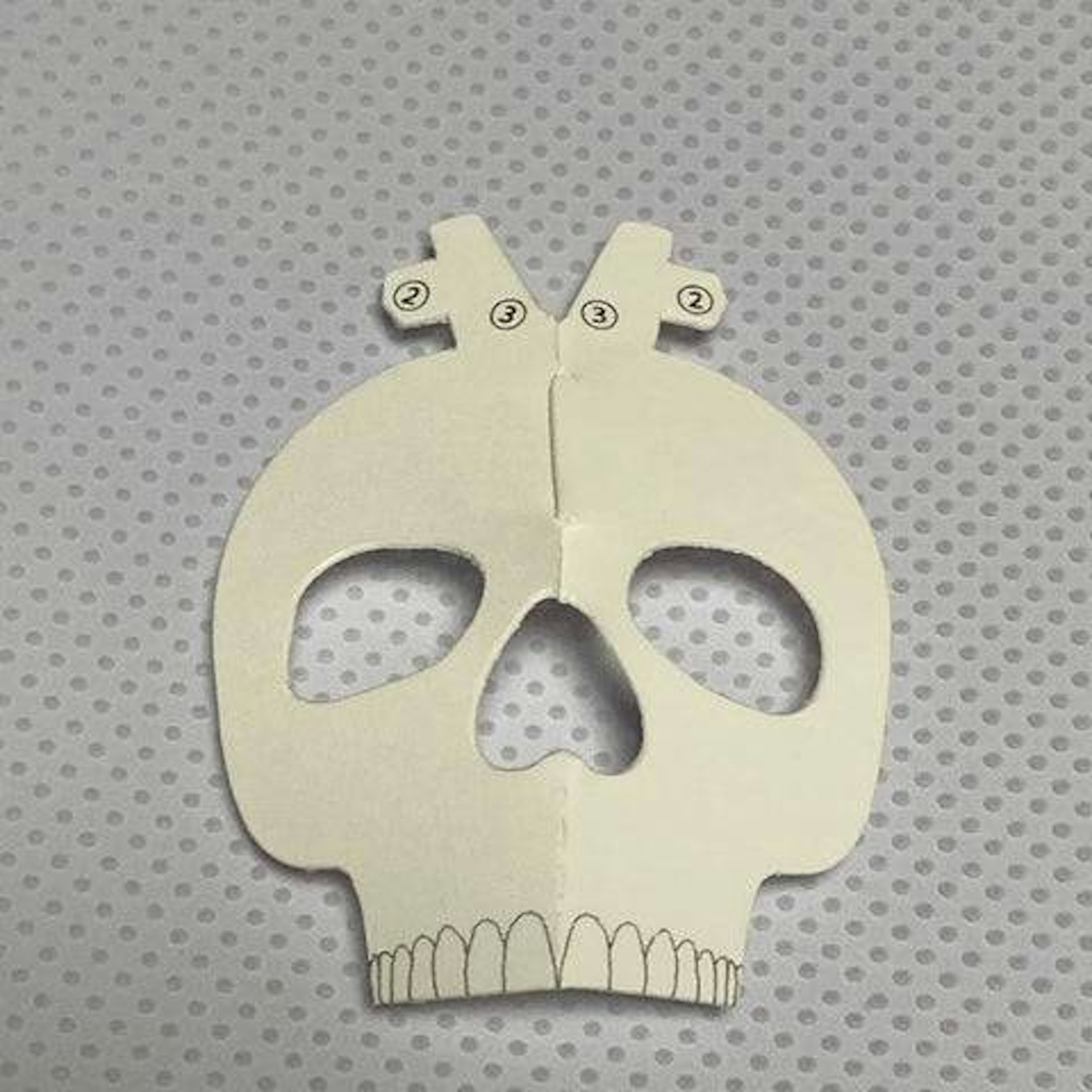 Making a human skeleton model (mini) _ Part 2: Skull