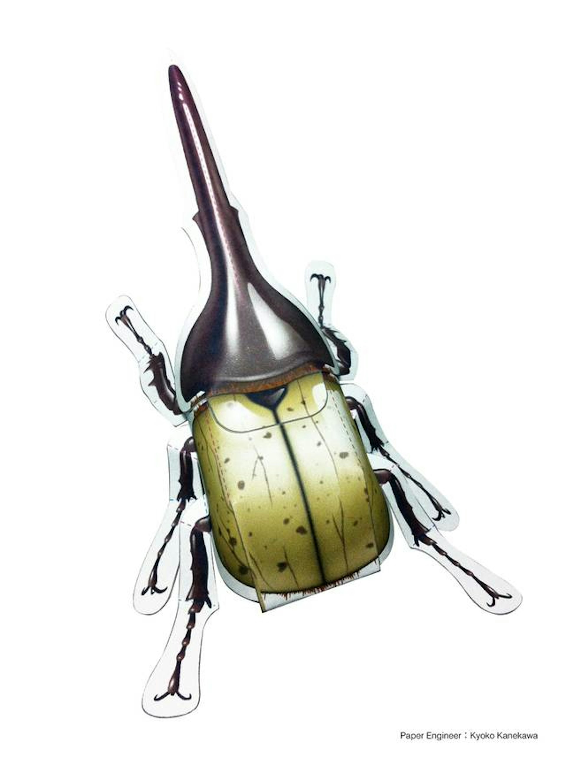 Hercules beetle (paper craft)