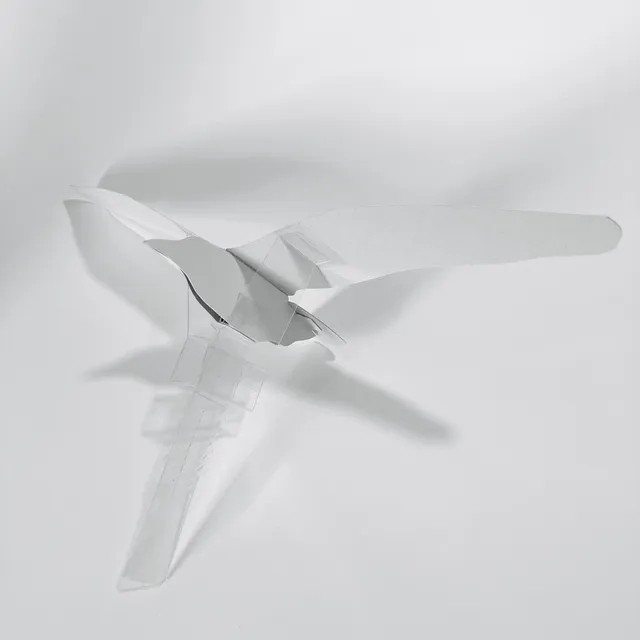 コイサギの詳細構造